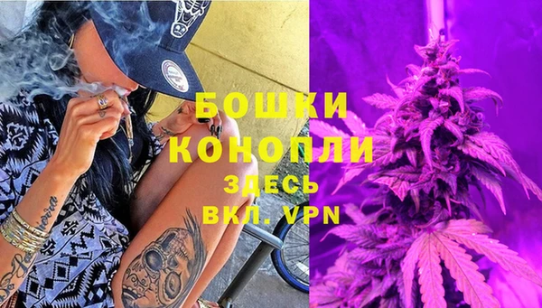 spice Каменка