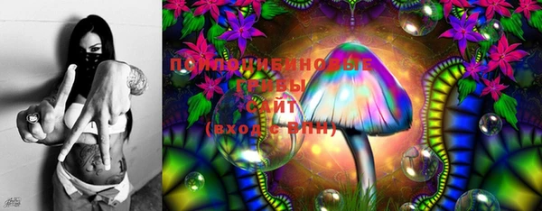 ГАЛЛЮЦИНОГЕННЫЕ ГРИБЫ Ижевск
